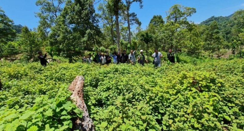 Desa Nilam BSI di Aceh Besar, Pelopor Pengembangan Ekonomi Warga