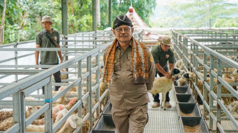 Mentan SYL Dorong Produksi Kambing dan Domba Kulon Progo Banjiri Kebutuhan Nasional