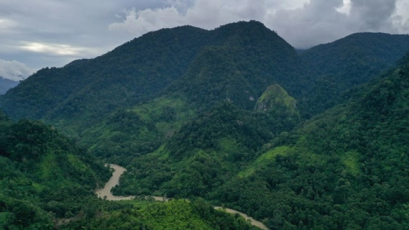 7 Agustus: Hari Hutan Indonesia