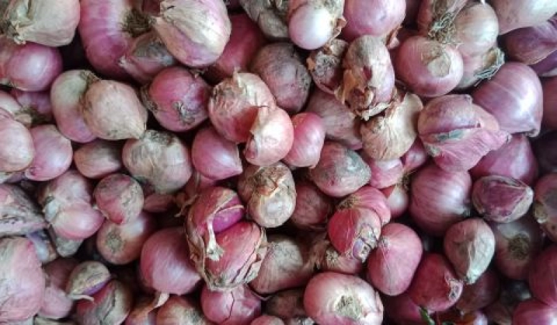 Stok Tersedia, Harga Bawang Merah di Banda Aceh Bertahan Rp 60.000 Per Kilogram 