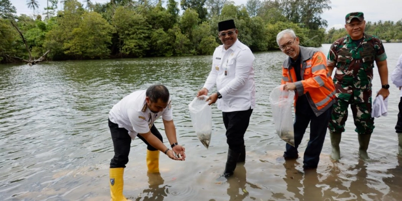 Dukung Tambang Berwawasan Lingkungan, Pj Gubernur Aceh Lepas Ribuan Ikan Kakap Putih di Lhoknga