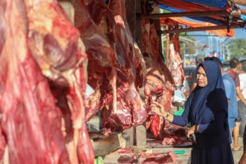 Aceh Surplus Sapi untuk Meugang Ramadan