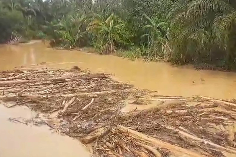 Sungai di Subulussalam Diduga Tercemar Akibat  Pembukaan Lahan Perkebunan Sawit