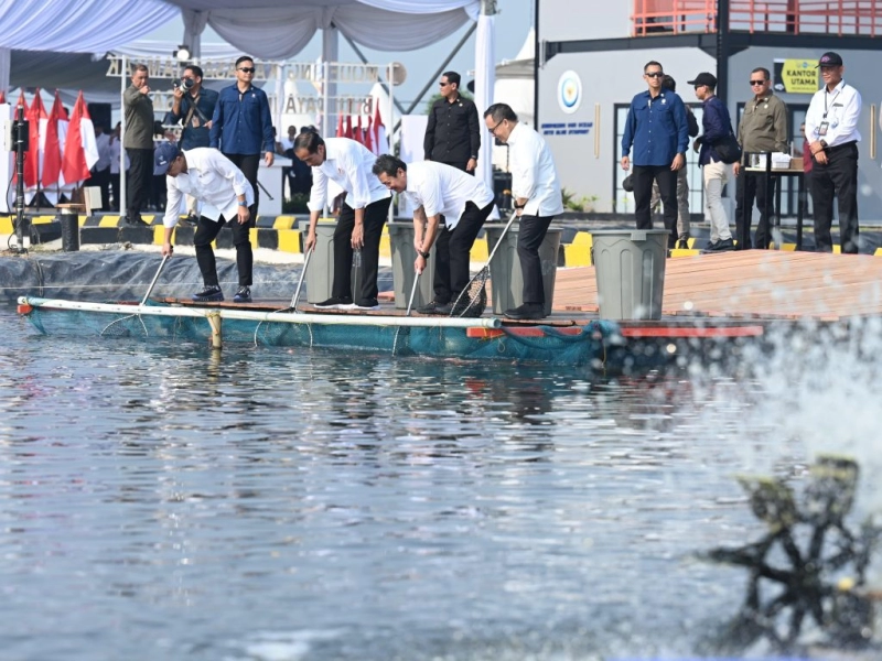 Presiden Jokowi Resmikan Modeling Budi Daya Ikan Nila di Jawa Barat