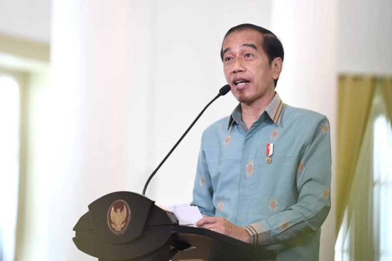 Soal Revisi UU Pilkada, Presiden Jokowi: Pemerintah Ikut Putusan MK