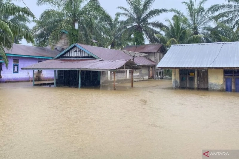 Krisis Lingkungan di Aceh, Pemerhati Desak Tindakan Nyata dari Calon Kepala Daerah Terpilih