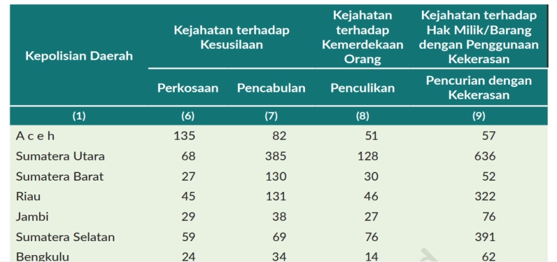 BPS: Pemerkosaan di Aceh Tertinggi se-Indonesia, Meningkat dari Tahun ke Tahun