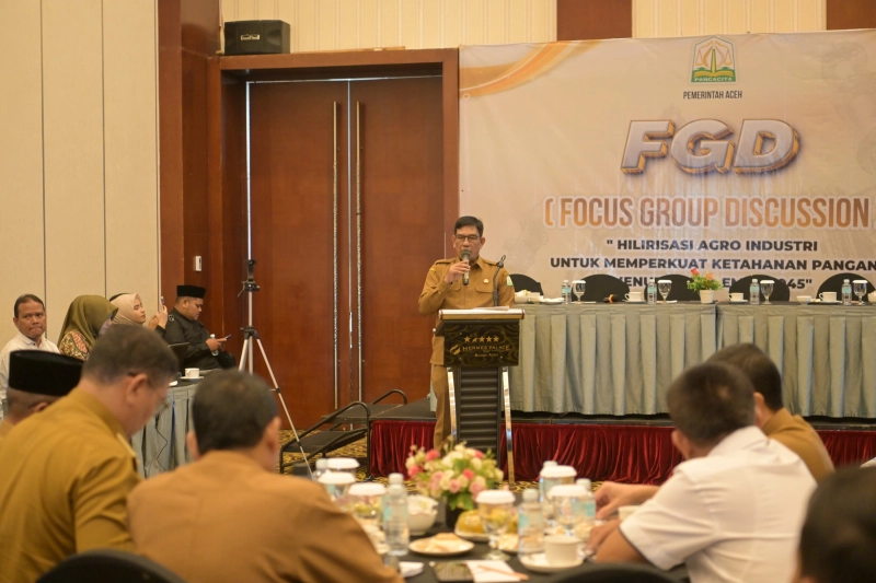 Plt Sekda Buka FGD Hilirisasi Agroindustri Ketahanan Pangan Menuju Aceh Emas 2045