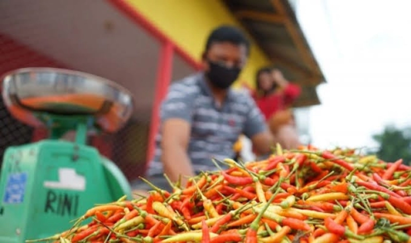 Harga Bahan Pangan Naik Tipis pada 1 Agustus 2024