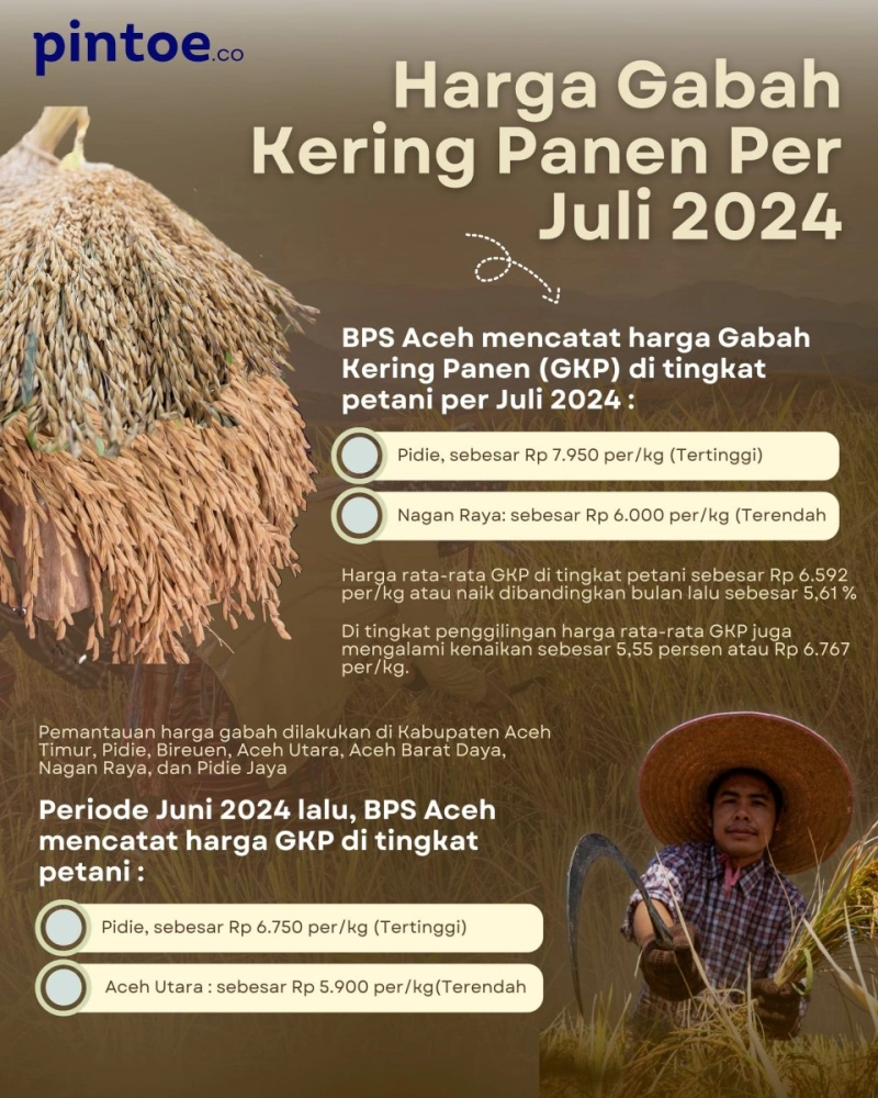 Infografis: Harga Gabah Kering Panen di Aceh per Juli 2024 