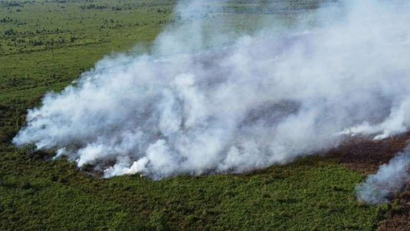 Aceh Barat Rawan Karthula, BPBD Minta Warga Tak Bakar Sampah dan Lahan  