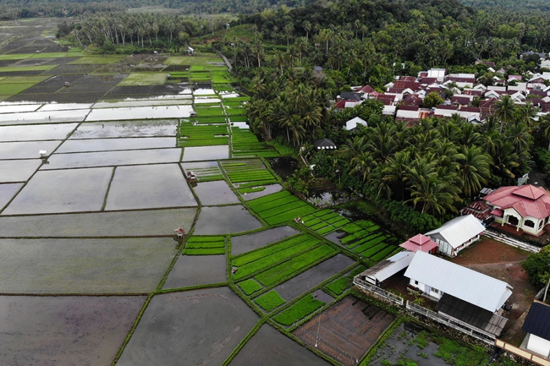 Mualem Sebut Cet Langet, Dek Fadh Sependapat dengan Syech Fadhil soal Peningkatan Produktivitas Pertanian