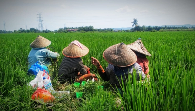 15 Oktober: Hari Perempuan Desa Sedunia