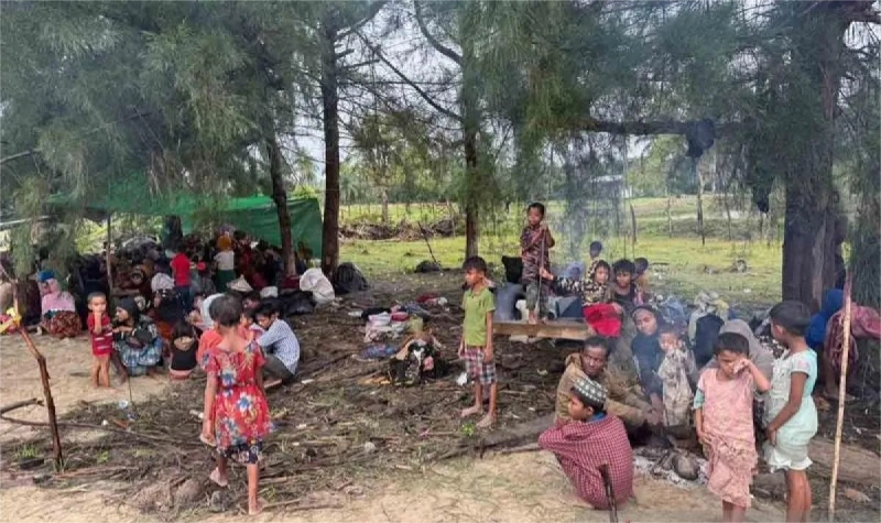 Sebanyak 264 Imigran Rohingya Mendarat di Aceh Timur