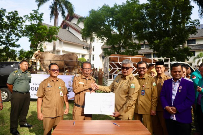 Foto Pj Gubernur Aceh Bustami Hamzah Serahkan Hewan Kurban Bantuan Presiden kepada Masyarakat Pidie Jaya