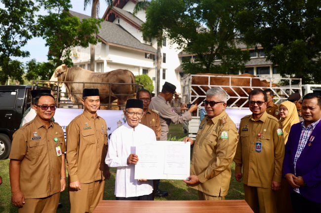 Foto Pj Gubernur Aceh Bustami Hamzah Serahkan Hewan Kurban Bantuan Presiden kepada Masyarakat Pidie Jaya