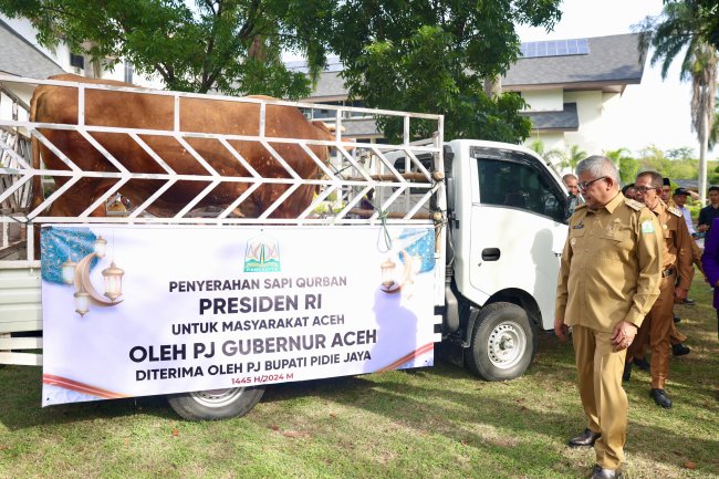 Foto Pj Gubernur Aceh Bustami Hamzah Serahkan Hewan Kurban Bantuan Presiden kepada Masyarakat Pidie Jaya